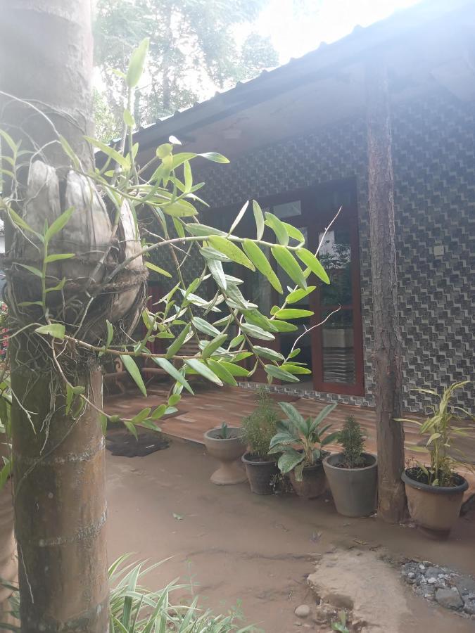 Supipi Homestay Элла Экстерьер фото