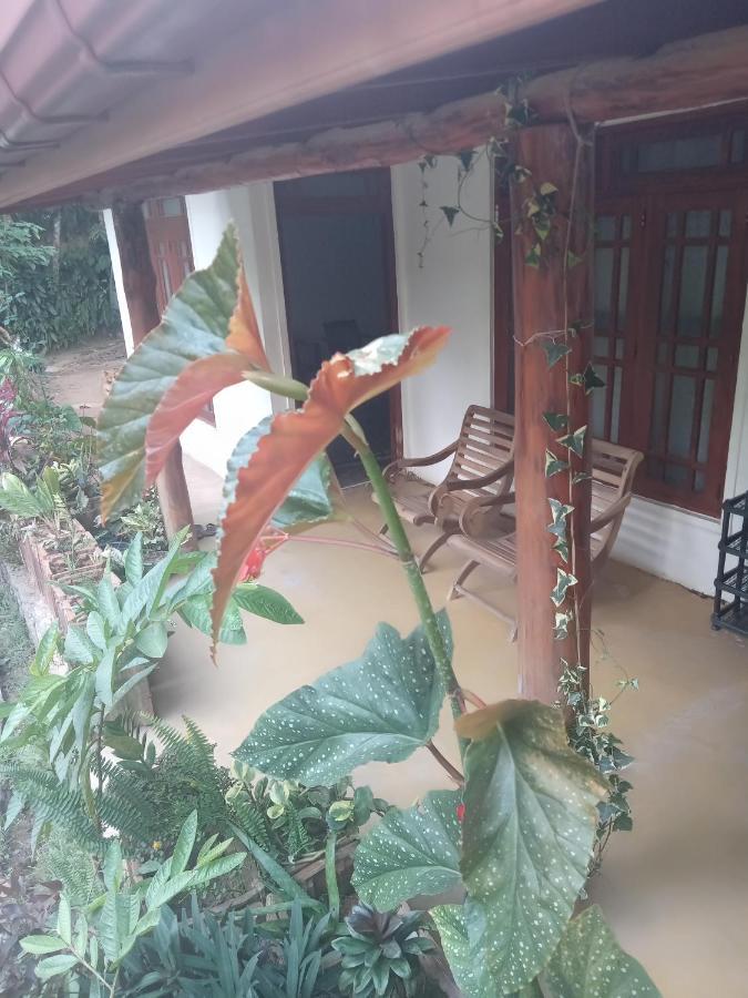 Supipi Homestay Элла Экстерьер фото